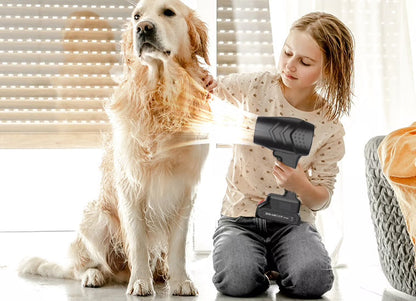 Trådlös kraftfull blåsare