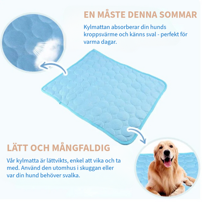 Innovativ Kylfilt för Husdjur