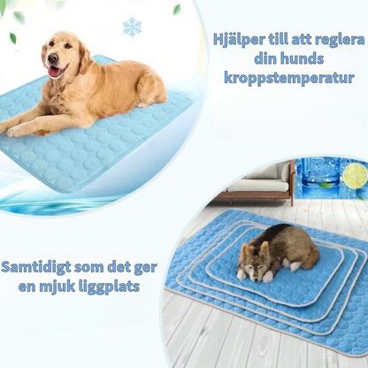 Innovativ Kylfilt för Husdjur