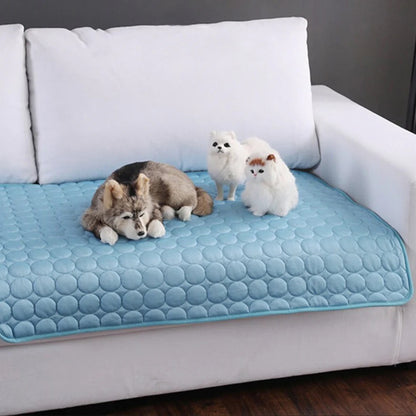 Innovativ Kylfilt för Husdjur