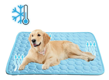 Innovativ Kylfilt för Husdjur